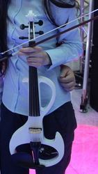Электрическая скрипка (electric violin)
