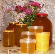Продаем натуральный Алтайский мед!!!
