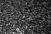 Щебень гравийный фр. 5-20 