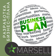 Разработка бизнес-плана любой сложности для разных целей