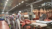 Работа в Германии: Рабочие на Мясокомбинат