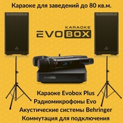 Комплект до 120 кв караоке Evolution+ акустика,  микшер для кафе и дома