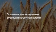 ООО Агропром - оптовая реализация продуктов питания экспорт